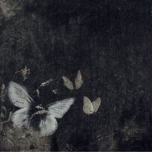 Meet your Posher, Marki